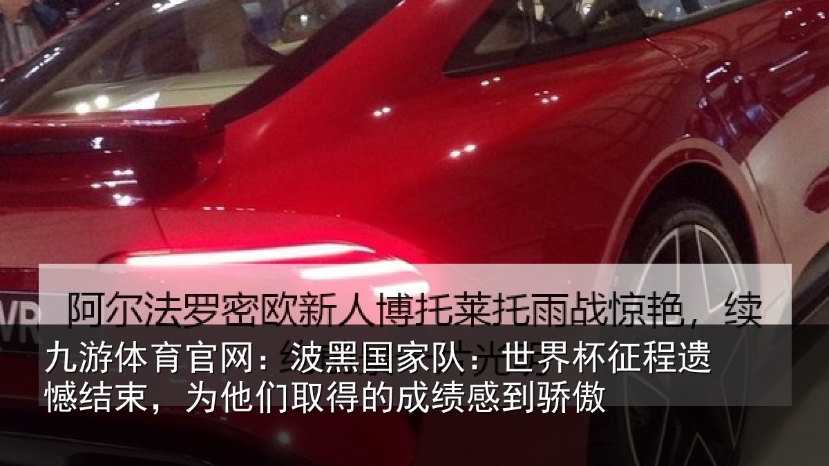 九游体育官网：波黑国家队：世界杯征程遗憾结束，为他们相关情况傲