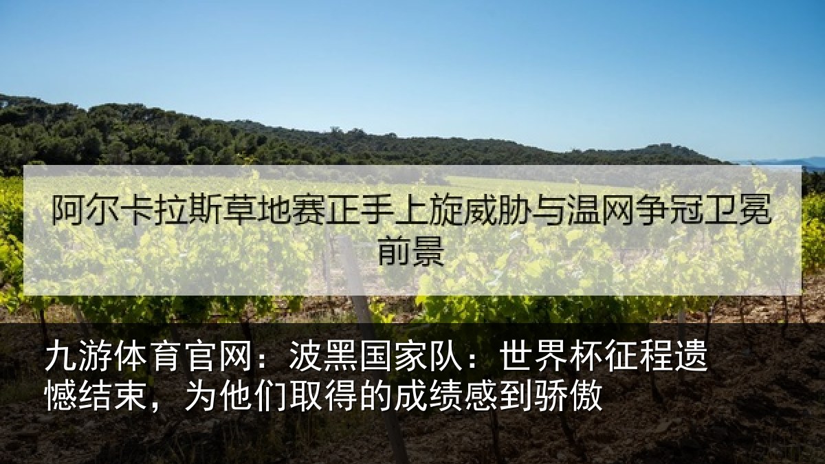 九游体育官网：波黑国家队：世界杯征程遗憾结束，为他们相关情况傲