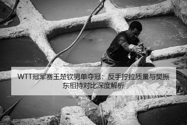 WTT冠军赛王楚钦男单夺冠：反手拧拉质量与樊振东相持对比深度解析