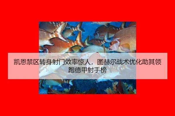 凯恩禁区转身射门效率惊人，图赫尔战术优化助其领跑德甲射手榜